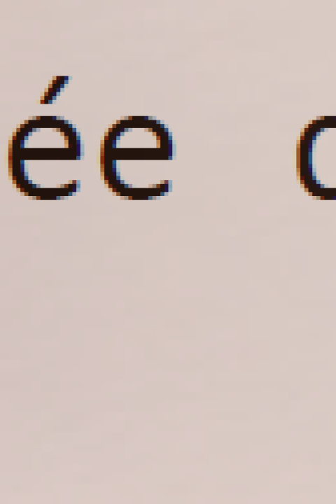 descriptif de l'activité