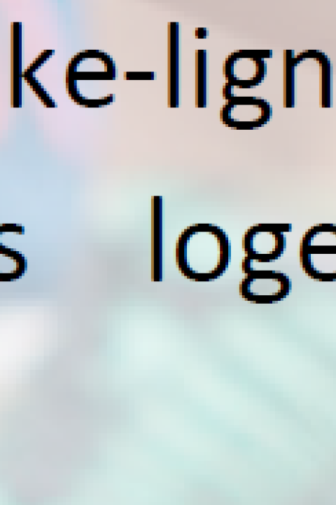 descriptif de l'activité